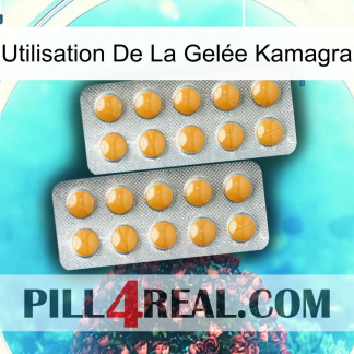 Utilisation De La Gelée Kamagra levitra2